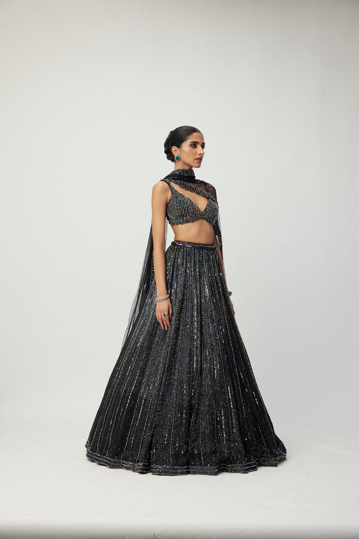 Black Crystal Linear Embroidered Lehenga Set
