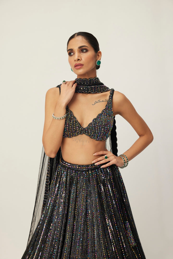 Black Crystal Linear Embroidered Lehenga Set