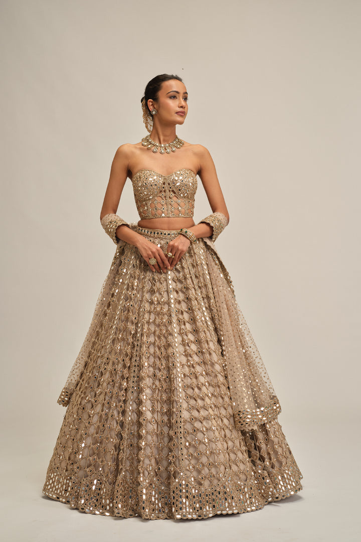 Light Beige Big Mirror Cutwork Lehenga With Corset Set