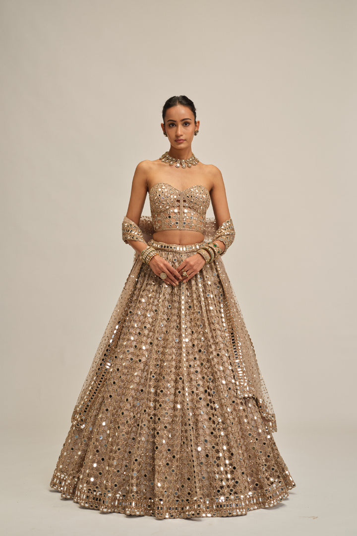 Light Beige Diamond Mirror Cutwork Lehenga With Corset Set