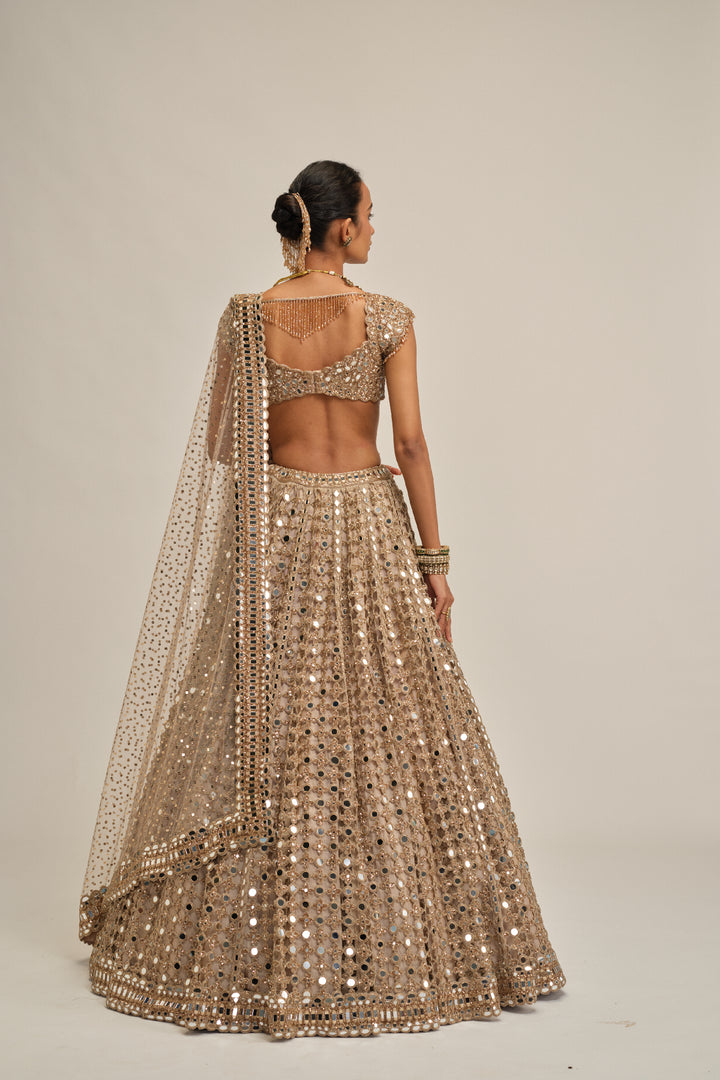 Light Beige Big Mirror Cutwork Lehenga Set