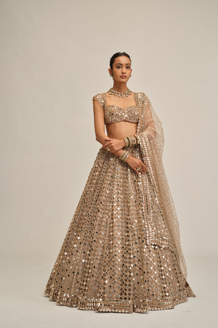 Light Beige Big Mirror Cutwork Lehenga Set