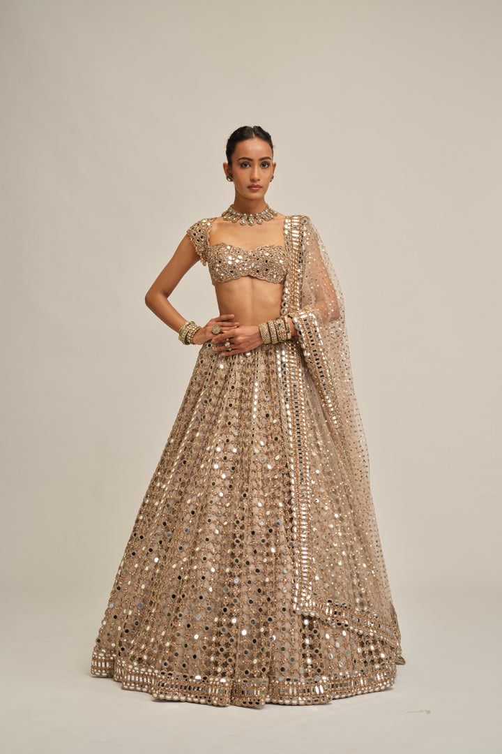 Light Beige Big Mirror Cutwork Lehenga Set