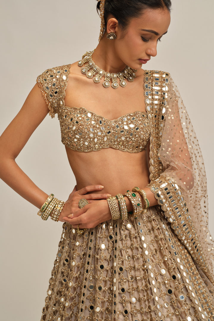 Light Beige Big Mirror Cutwork Lehenga Set