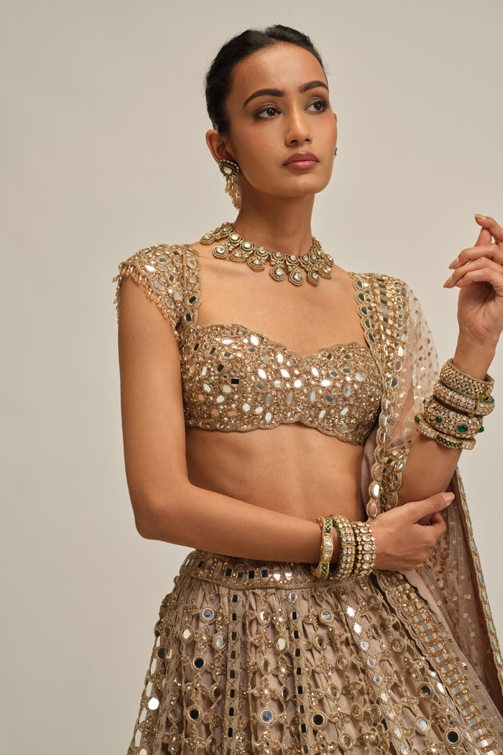 Light Beige Big Mirror Cutwork Lehenga Set