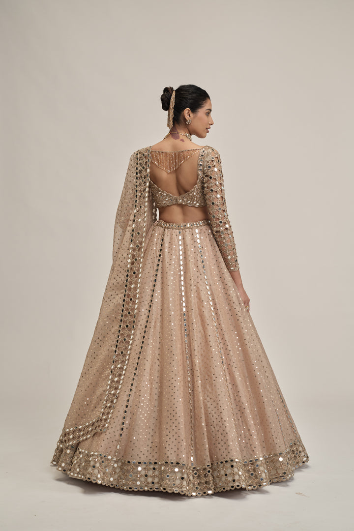 Light Beige Sequins Embroidered Full Sleeves Lehenga Set