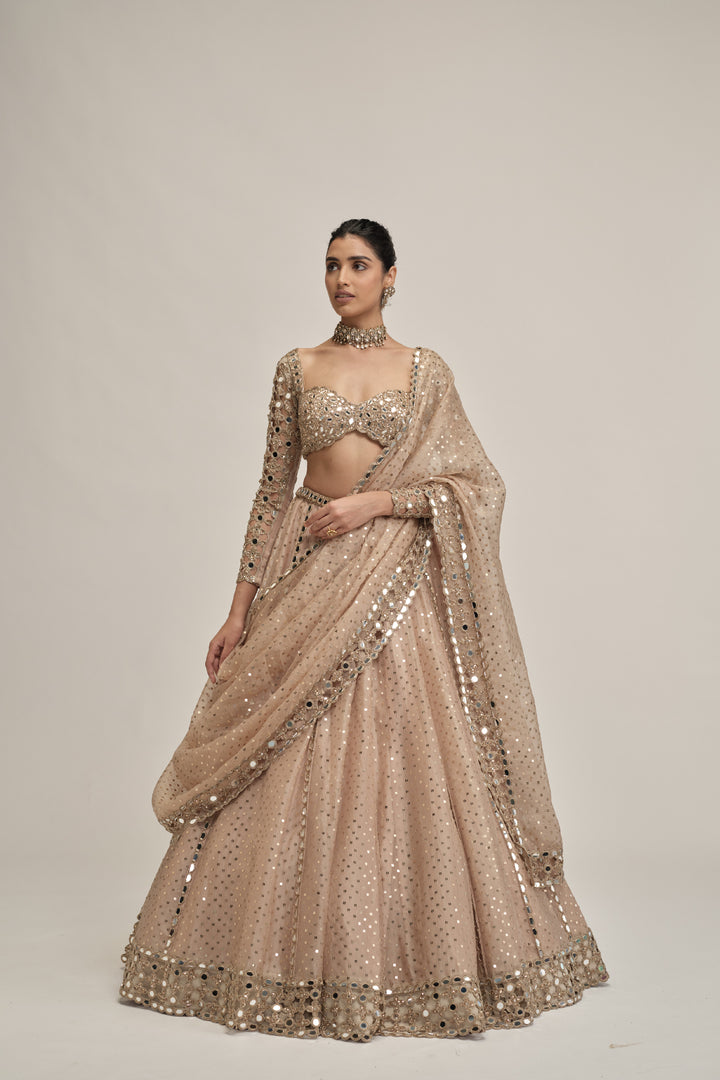 Light Beige Sequins Embroidered Full Sleeves Lehenga Set