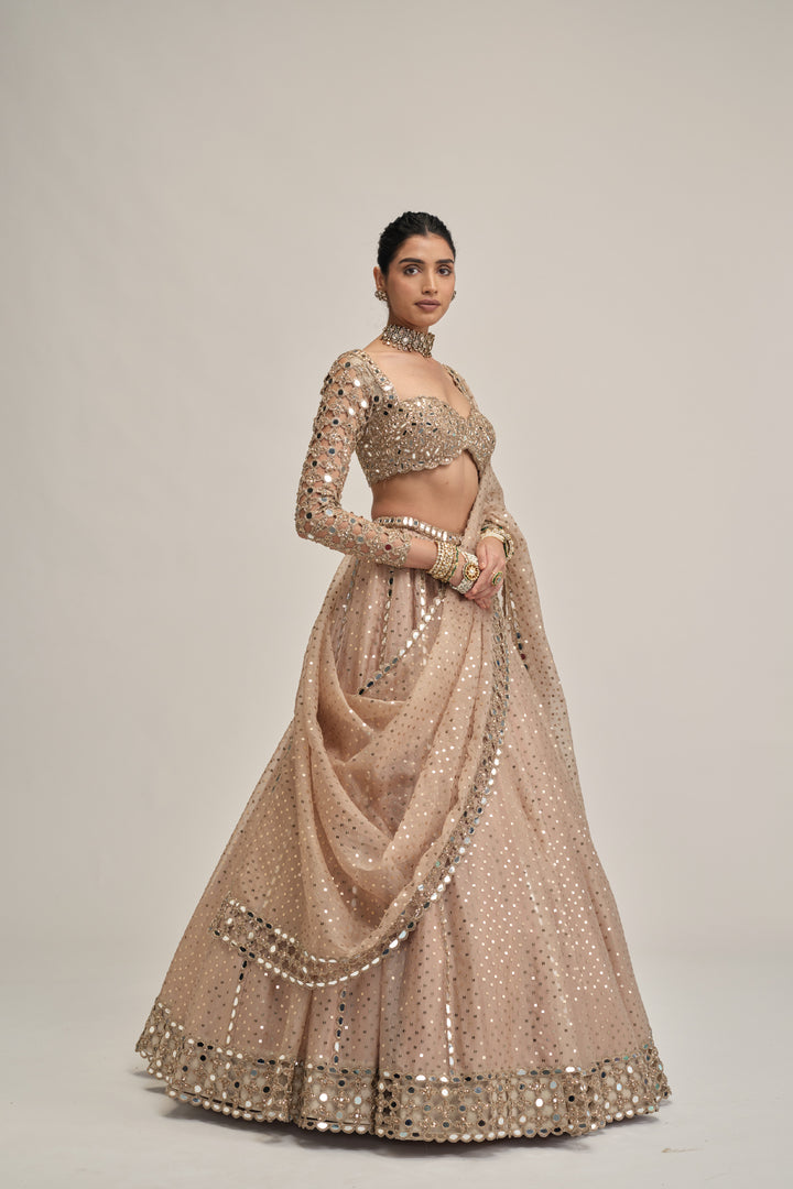 Light Beige Sequins Embroidered Full Sleeves Lehenga Set