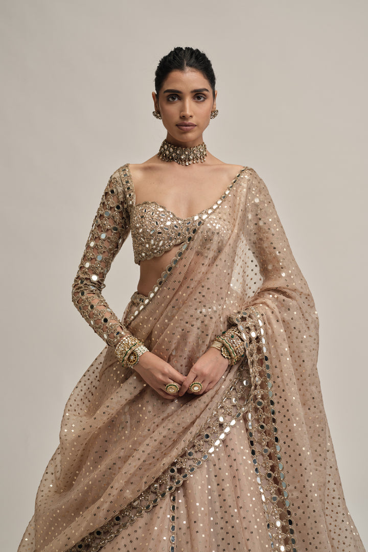 Light Beige Sequins Embroidered Full Sleeves Lehenga Set