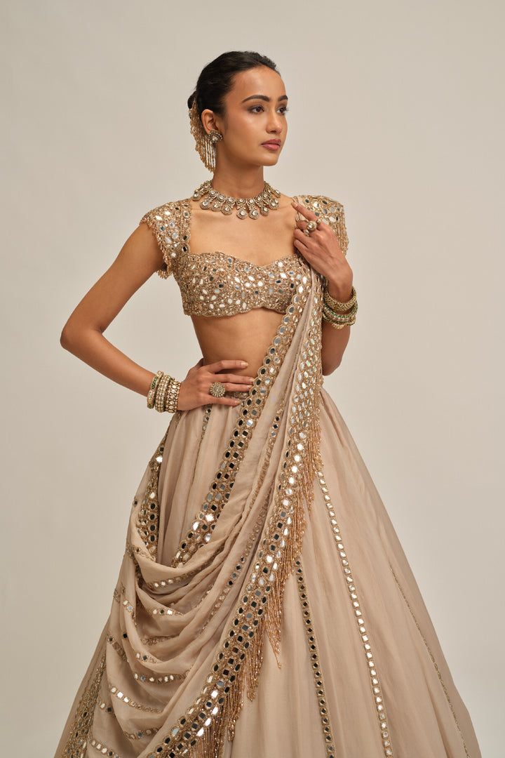 Light Beige Mirror Linear Embroiderd Lehenga Set