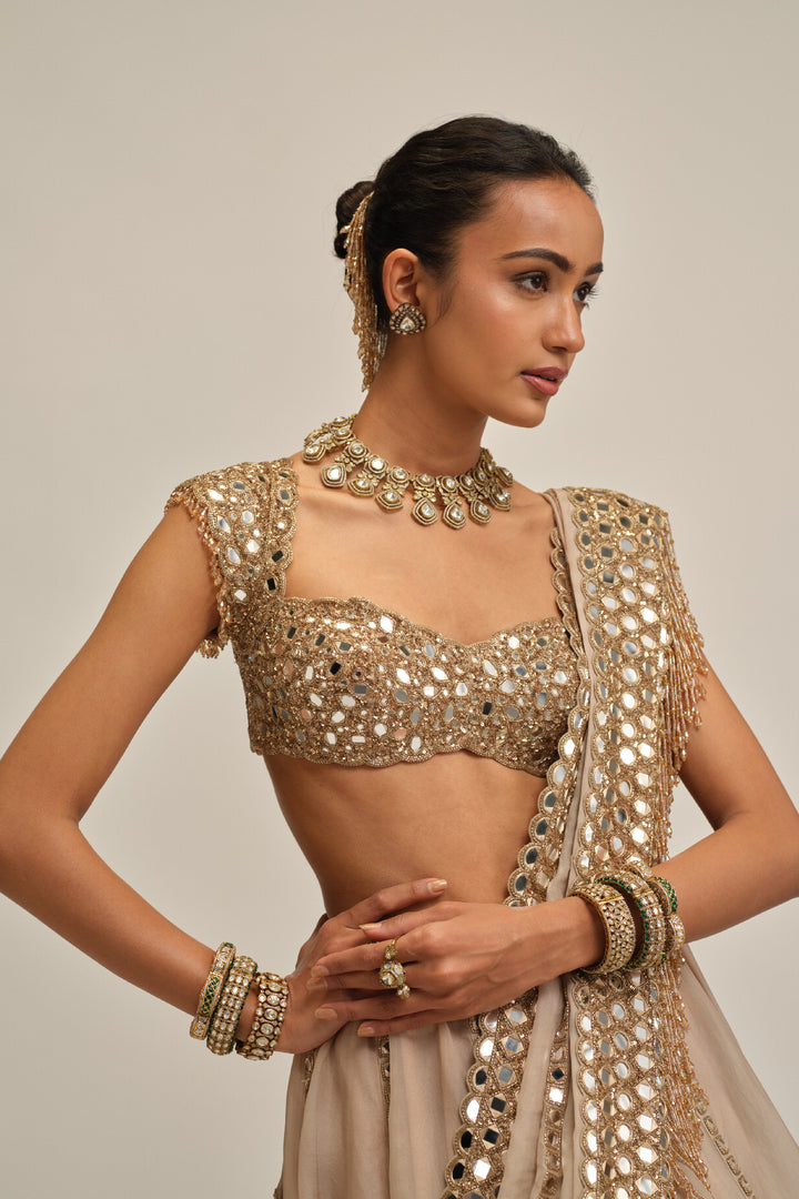 Light Beige Mirror Linear Embroiderd Lehenga Set