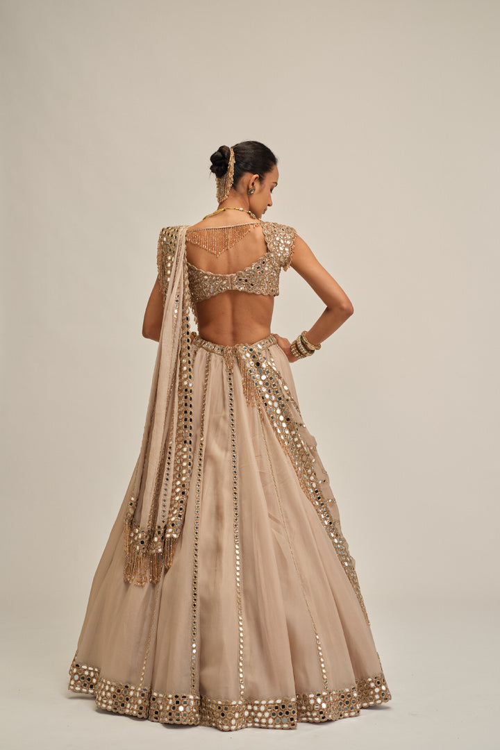 Light Beige Mirror Linear Embroiderd Lehenga Set