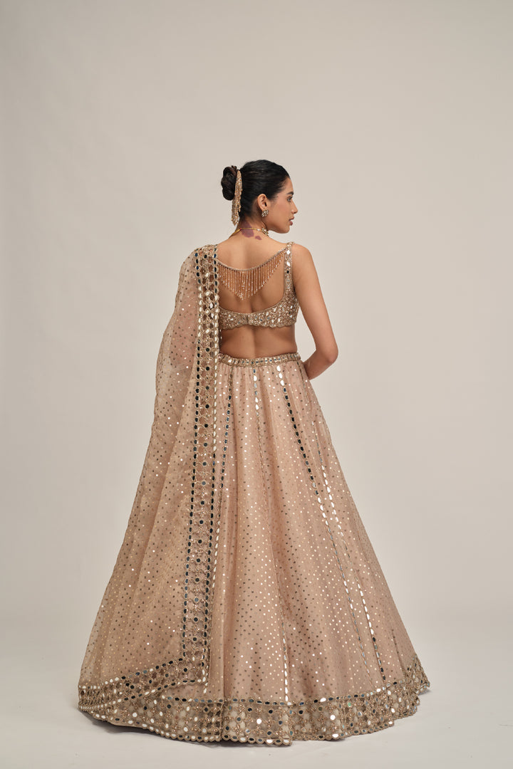 Light Beige Sequins Embroidered Lehenga Set