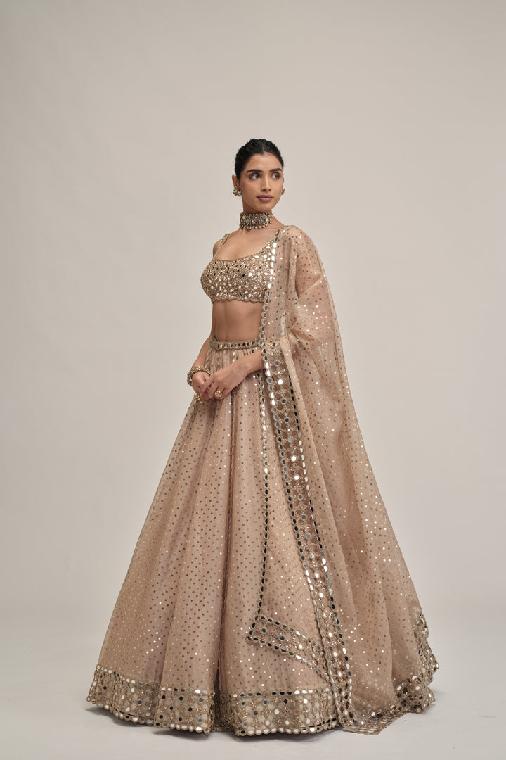 Light Beige Sequins Embroidered Lehenga Set