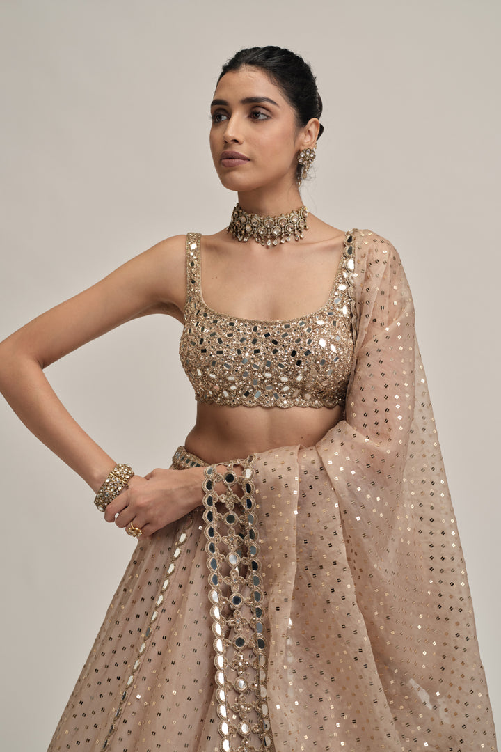 Light Beige Sequins Embroidered Lehenga Set