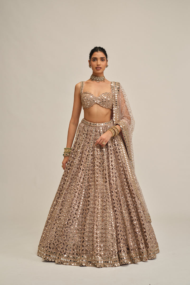 Ash Pink Circular Cutwork Lehenga Set
