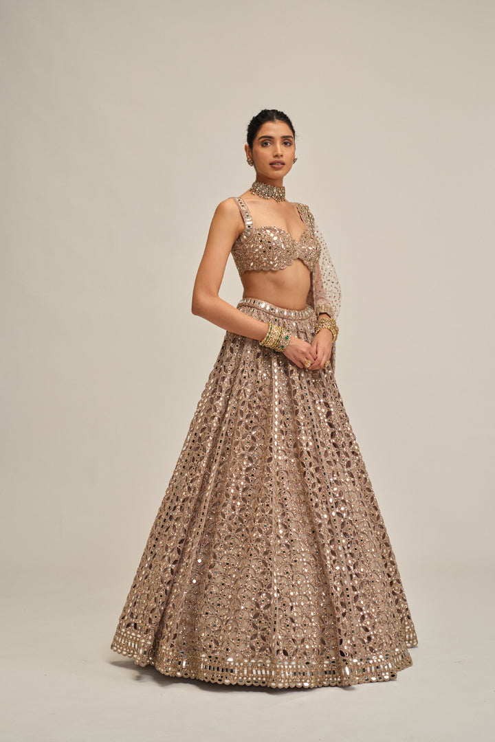 Ash Pink Circular Cutwork Lehenga Set