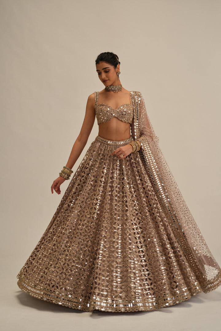 Ash Pink Circular Cutwork Lehenga Set