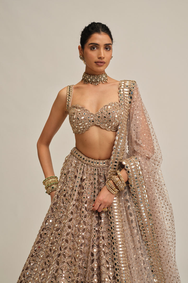 Ash Pink Circular Cutwork Lehenga Set