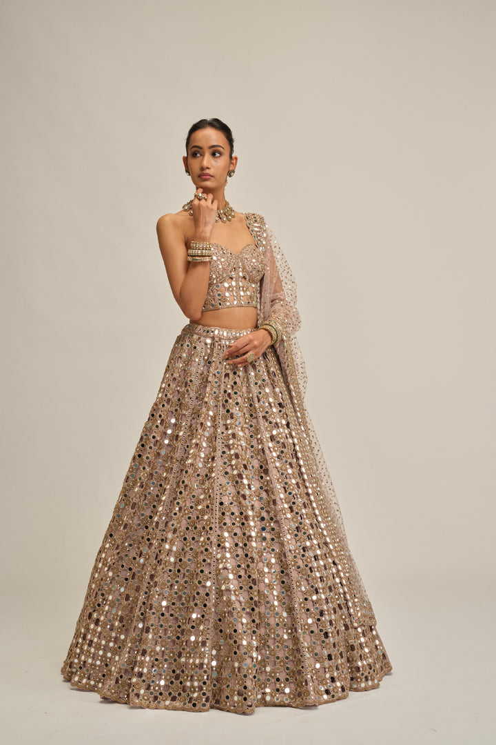 Ash Pink Dense Big Mirror Cutwork Lehenga With Corset Set