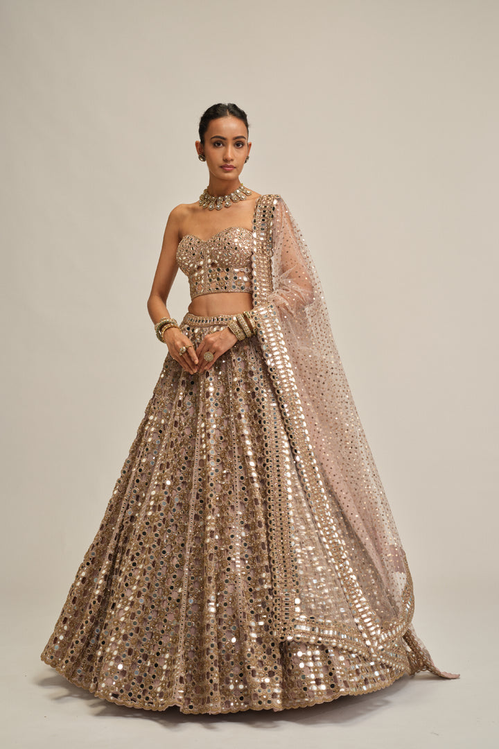 Ash Pink Dense Big Mirror Cutwork Lehenga With Corset Set