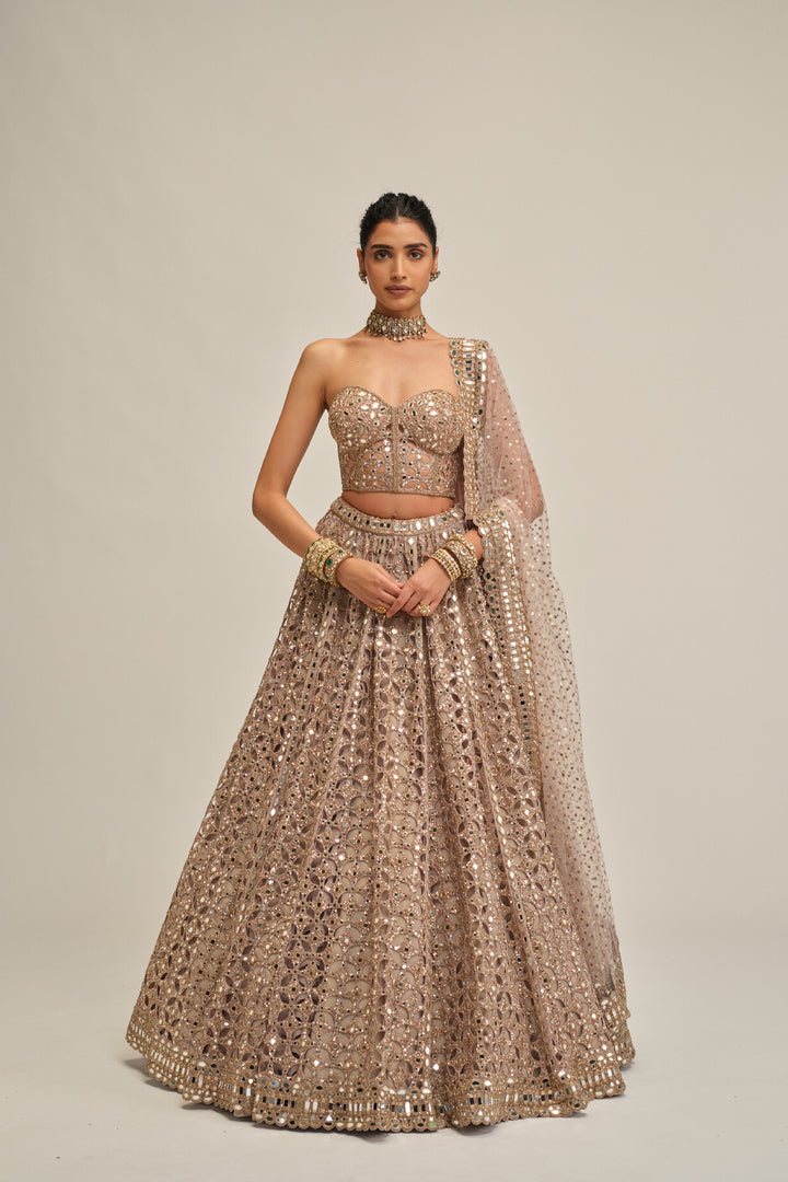 Ash Pink Circular Cutwork Lehenga With Corset Set