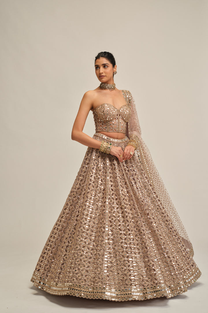 Ash Pink Circular Cutwork Lehenga With Corset Set