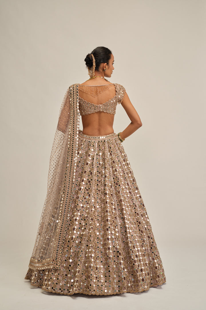 Ash Pink Dense Big Mirror Cutwork Lehenga Set