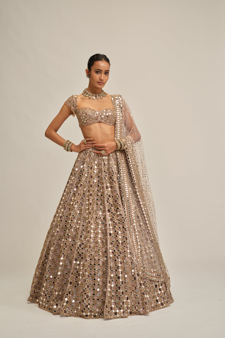 Ash Pink Dense Big Mirror Cutwork Lehenga Set