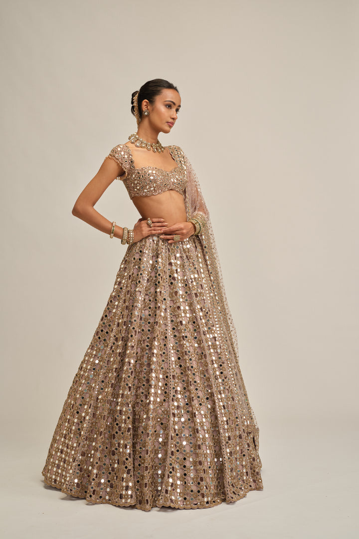 Ash Pink Dense Big Mirror Cutwork Lehenga Set