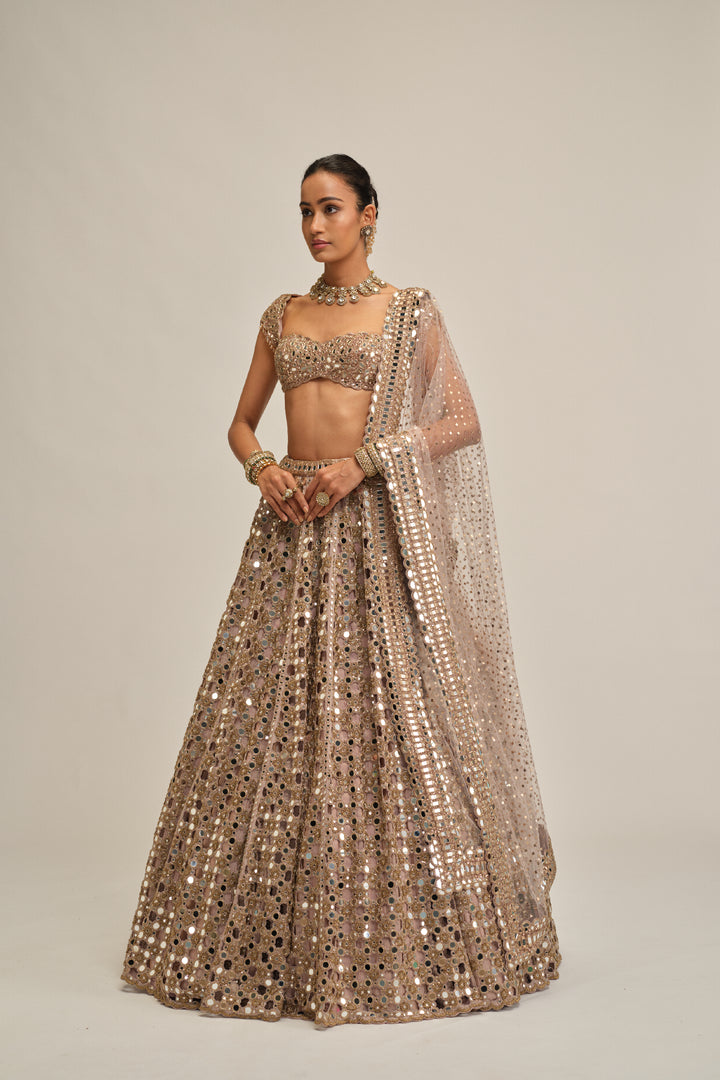 Ash Pink Dense Big Mirror Cutwork Lehenga Set