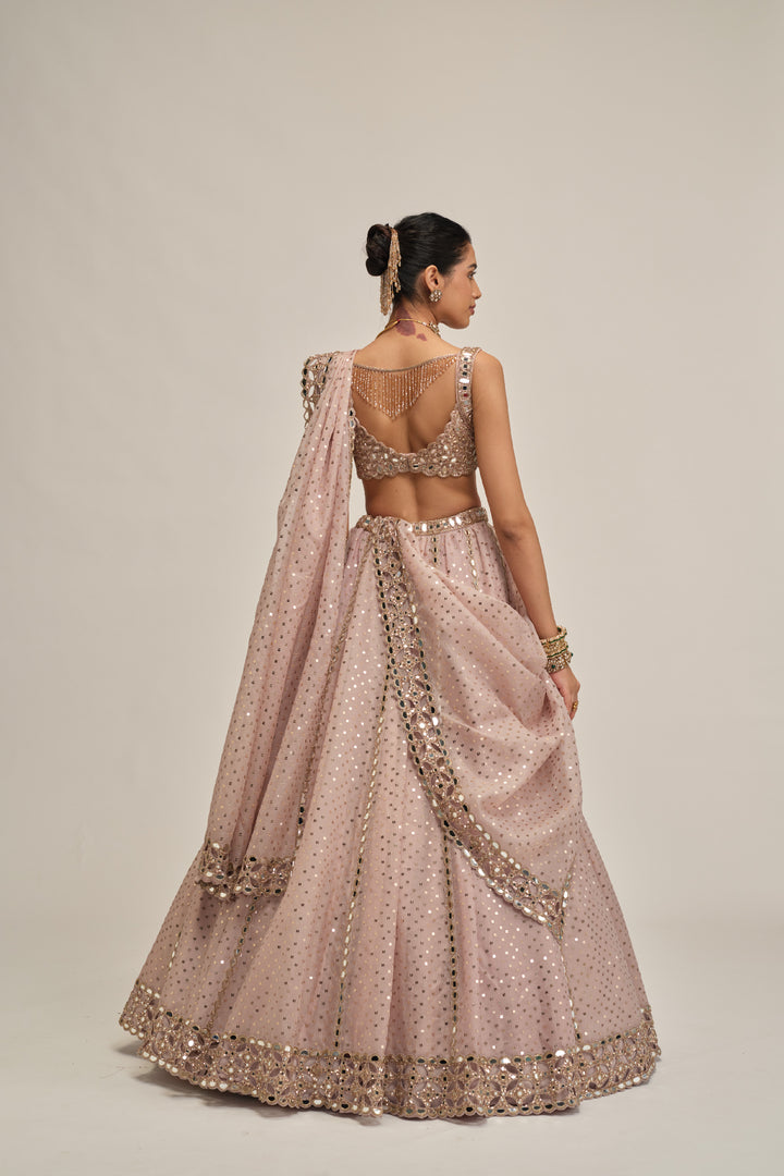 Ash Pink Linear Mirror Sequins Embroidered Lehenga Set