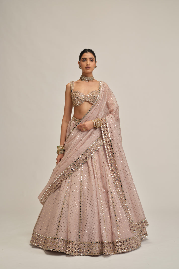 Ash Pink Linear Mirror Sequins Embroidered Lehenga Set