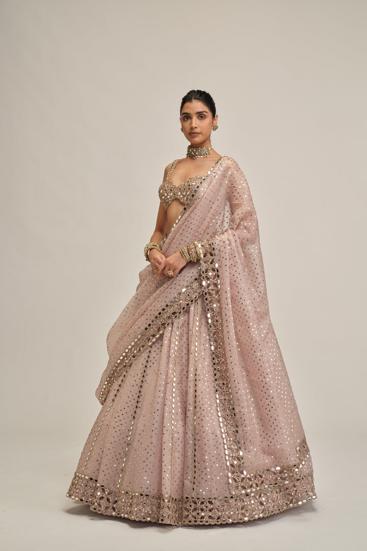 Ash Pink Linear Mirror Sequins Embroidered Lehenga Set