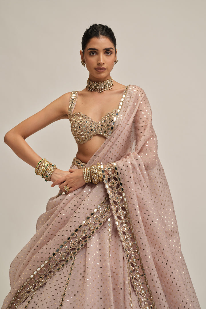 Ash Pink Linear Mirror Sequins Embroidered Lehenga Set