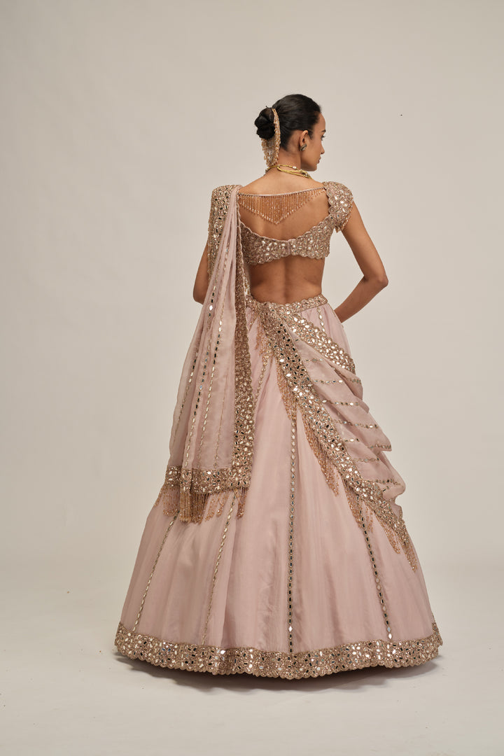 Ash Pink Mirror Linear Embroidered Lehenga Set