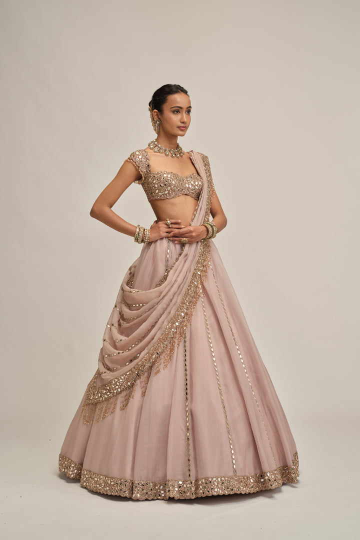Ash Pink Mirror Linear Embroidered Lehenga Set