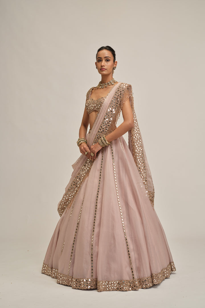 Ash Pink Mirror Linear Embroidered Lehenga Set