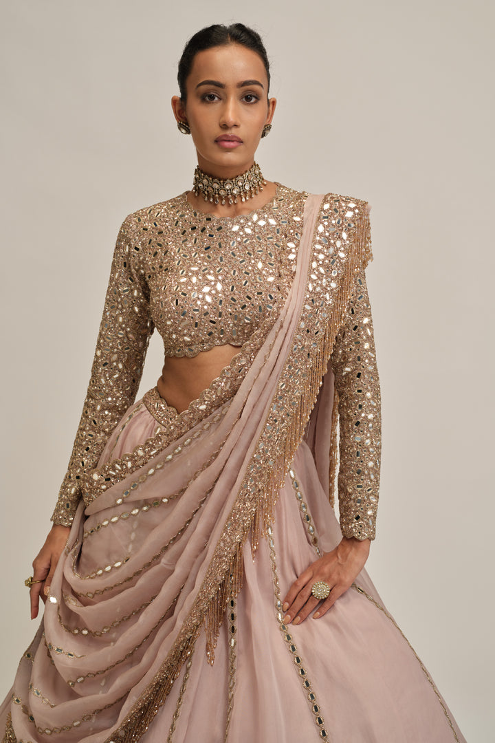Ash Pink Full Sleeve Lehenga Set
