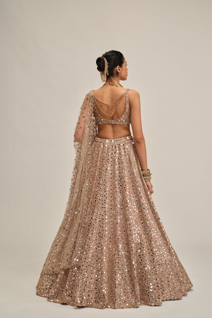 Ash Pink Mirror Embroidered Lehenga Set