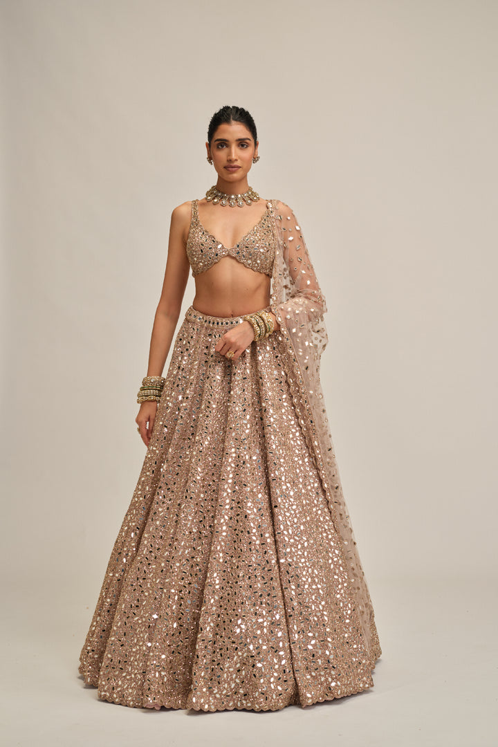 Ash Pink Mirror Embroidered Lehenga Set