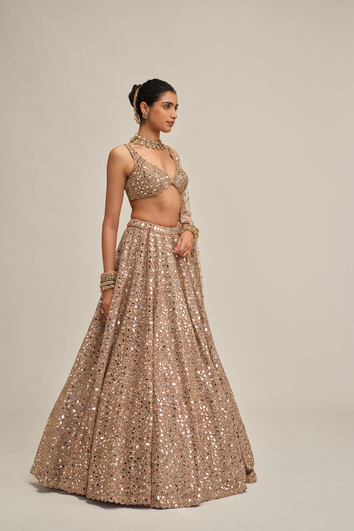 Ash Pink Mirror Embroidered Lehenga Set