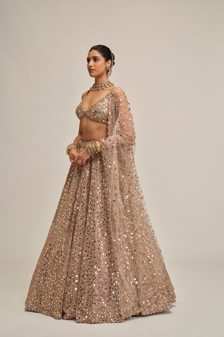 Ash Pink Mirror Embroidered Lehenga Set