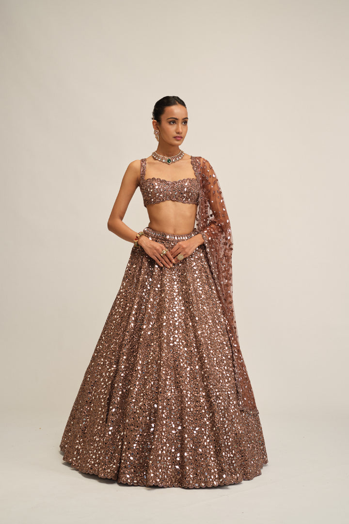Deep Beige Mirror Embroidered Lehenga Set