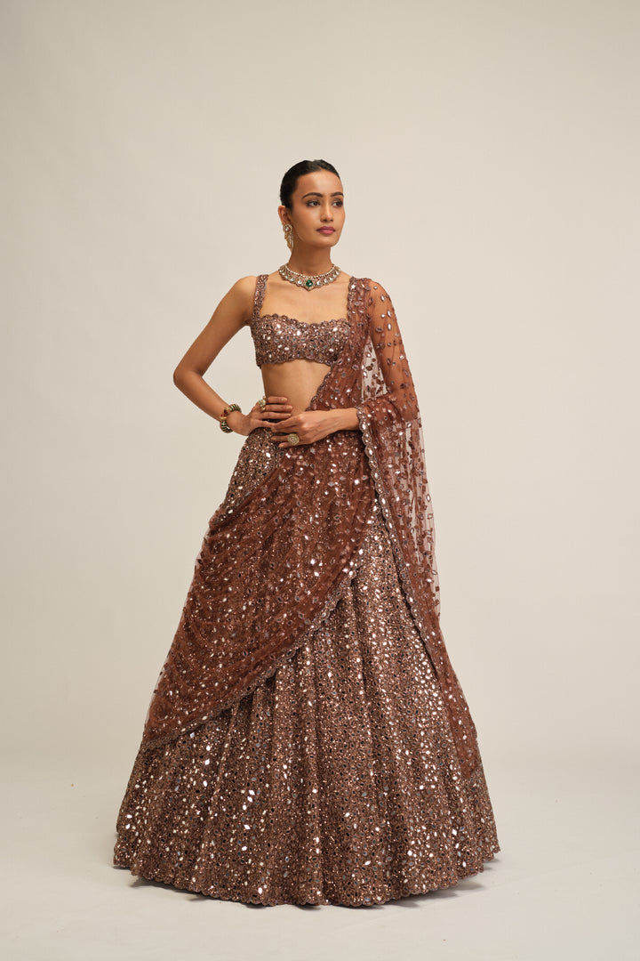 Deep Beige Mirror Embroidered Lehenga Set