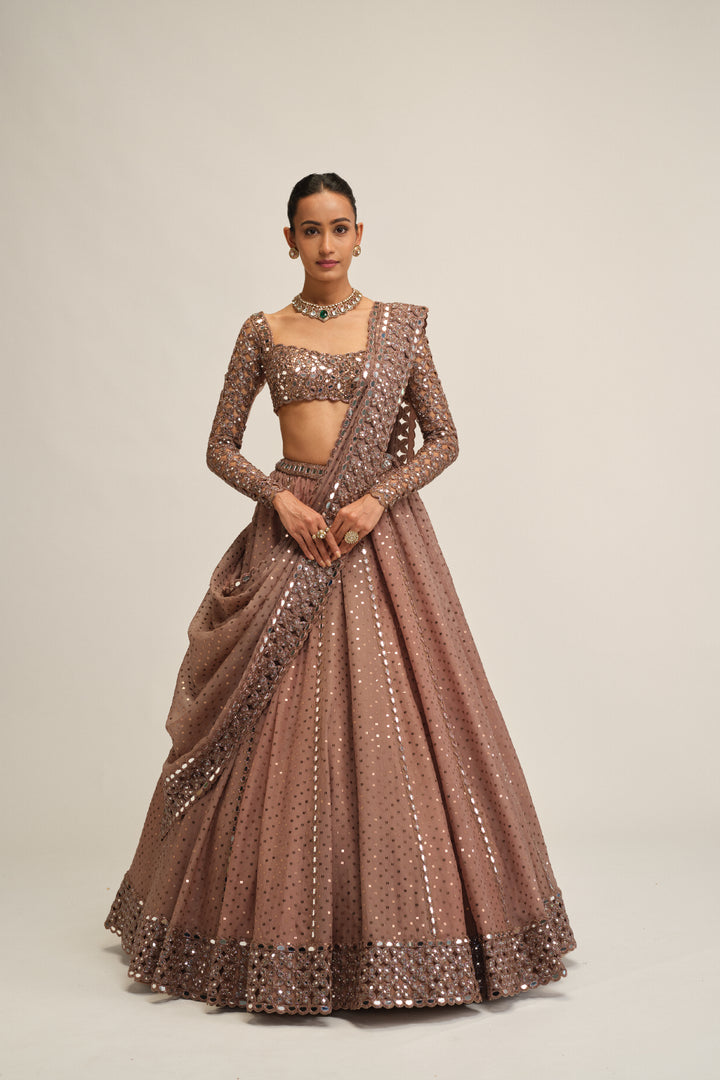 Deep Beige Sequins Embroidered Lehenga Set