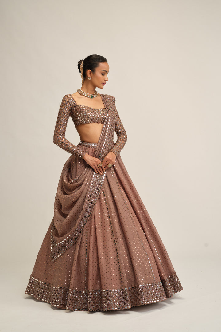 Deep Beige Sequins Embroidered Lehenga Set