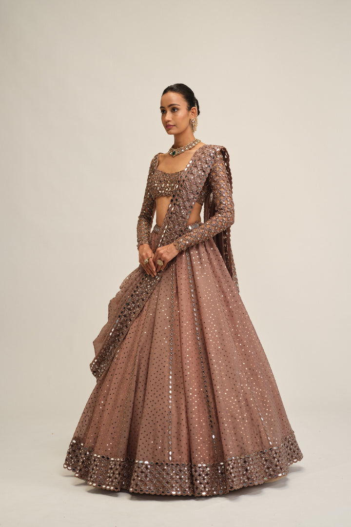 Deep Beige Sequins Embroidered Lehenga Set