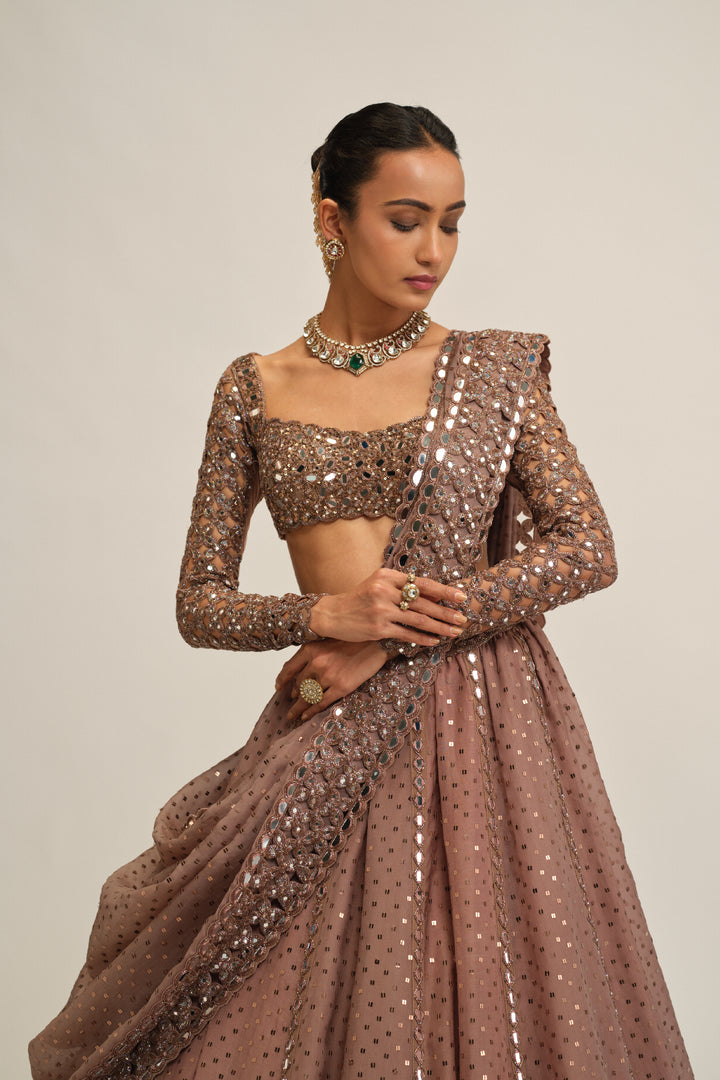 Deep Beige Sequins Embroidered Lehenga Set
