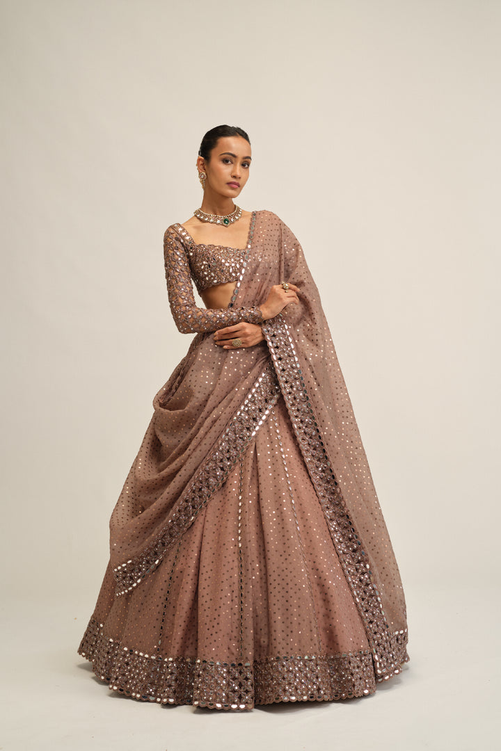 Deep Beige Sequins Embroidered Lehenga Set